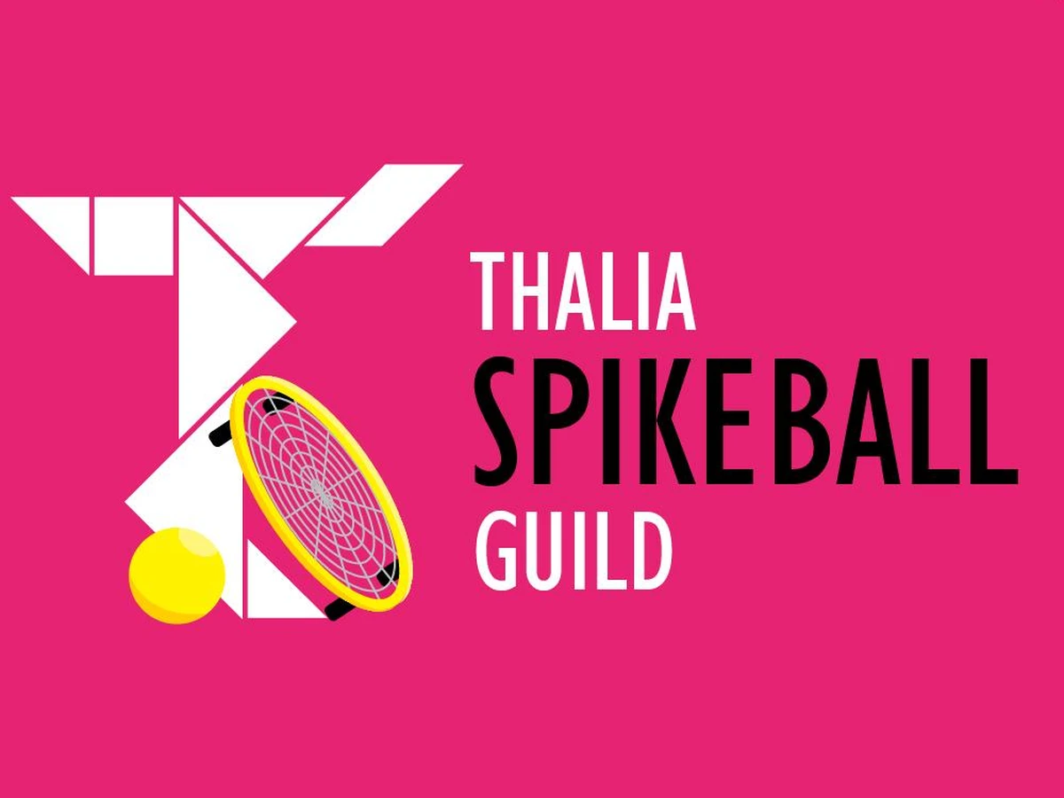 Spikeball Guild